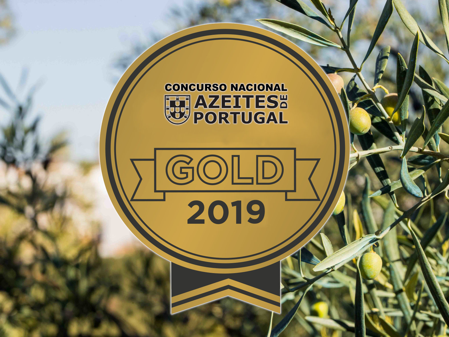 Medalha de Ouro no Concurso Nacional de Azeites de Portugal