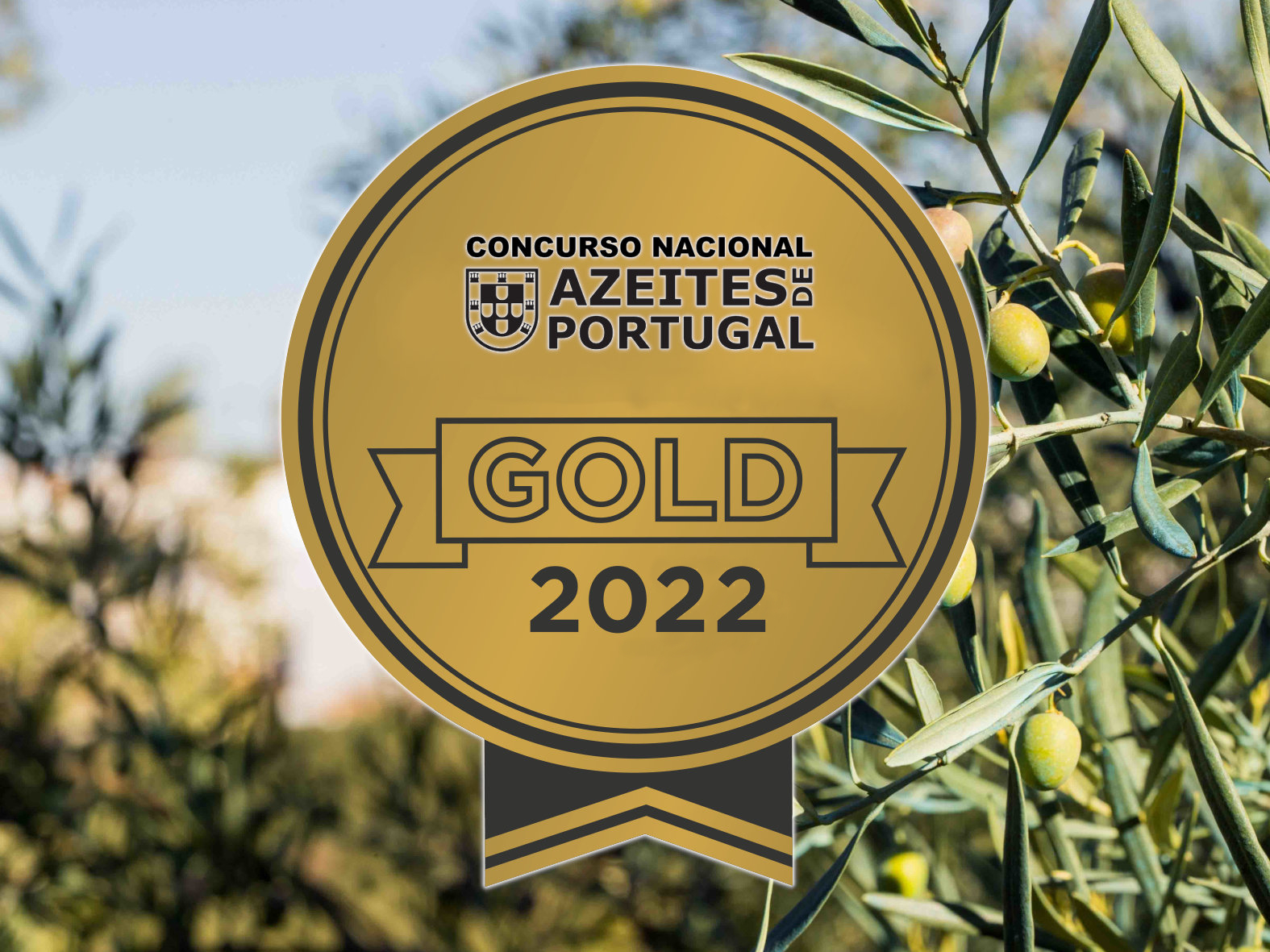 Ouro no Concurso Nacional de Azeites de Portugal